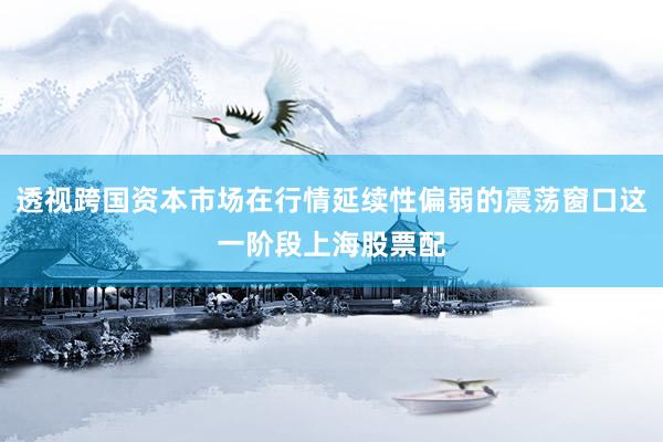 透视跨国资本市场在行情延续性偏弱的震荡窗口这一阶段上海股票配